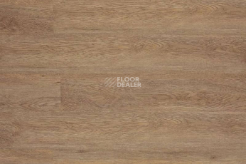 Кварцвиниловые полы Aquafloor Classic SPC Дуб лаунж AF5514 фото 1 | FLOORDEALER